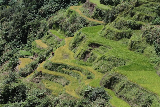 Banaue