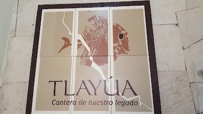 museum