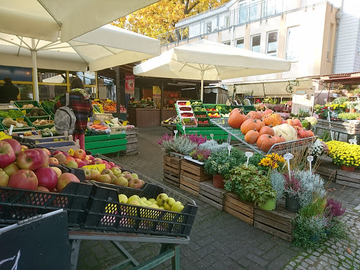 Fruchthof - Visual