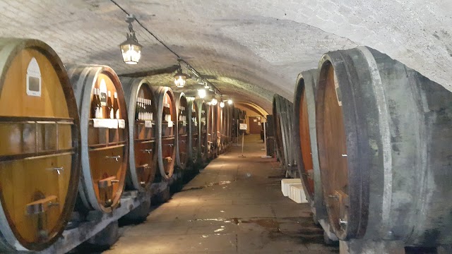 Cave des Hospices