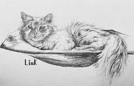 Mae Annie Norman pet portraits Gallery - United Kingdom