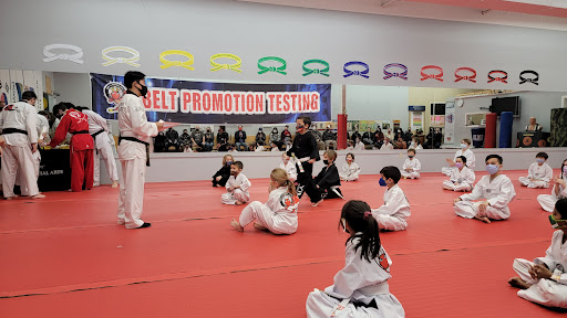 Kim's Yong-In Martial Arts - Thumbnail