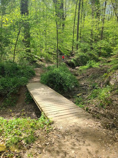 Salt Fork State Park - Thumbnail