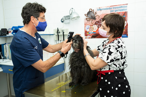 Clínica Veterinaria Caservet Albéitar Zaragoza
