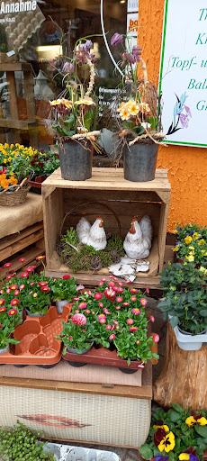 Blumen & Floristik Inh. D. Kästner - Thumbnail