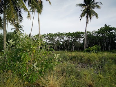 lodging