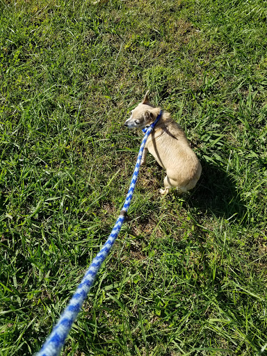 Humane Society of Amherst County - Thumbnail