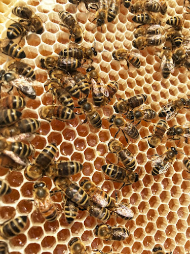 Bee Baltic - Supermarket