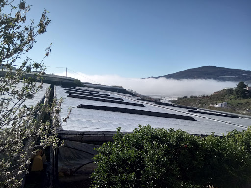 Cortijo García - Thumbnail