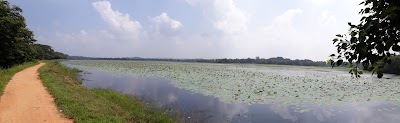 Photos of මහදිවුල්වැව නාන ස්තානය -