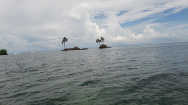 Zapatilla Island
