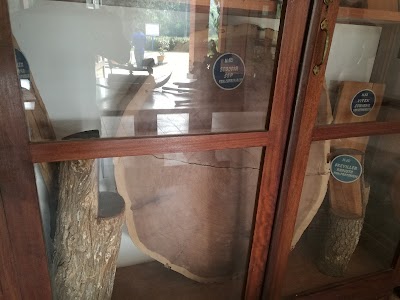 Photos of de kisantu Botanical Garden