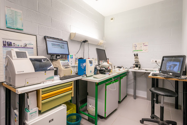 Clinique vétérinaire de l'Aa - Gravelines - Sevetys - Vétérinaire