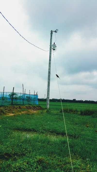 Photos of Dew Agro Farms Limited