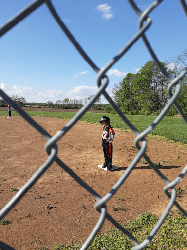 Staunton Baseball Fields - Visual