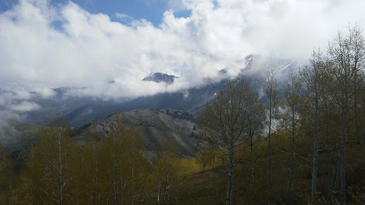 Maple Mountain - Visual