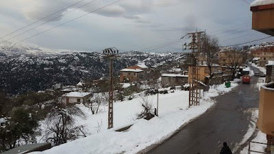 Photos of Taguemount-Azzouz