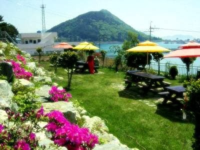 Photos of 바들향민박