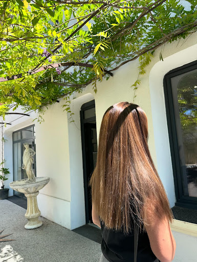 LDMsalon - Thumbnail
