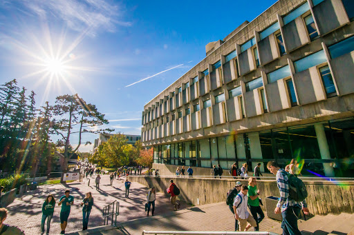 McLaughlin Library - Visual