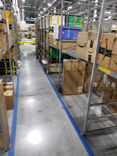 Amazon Bellingham - Visual