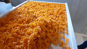 Photo n°2 de MAISON BLIN à Allainville (Ferme)