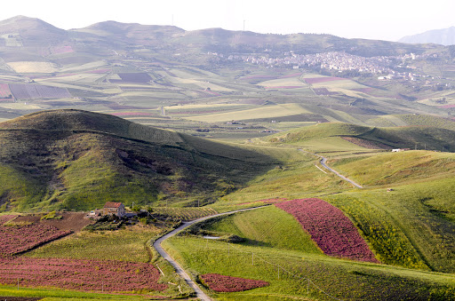 Valdibella Cooperativa Agricola - Thumbnail