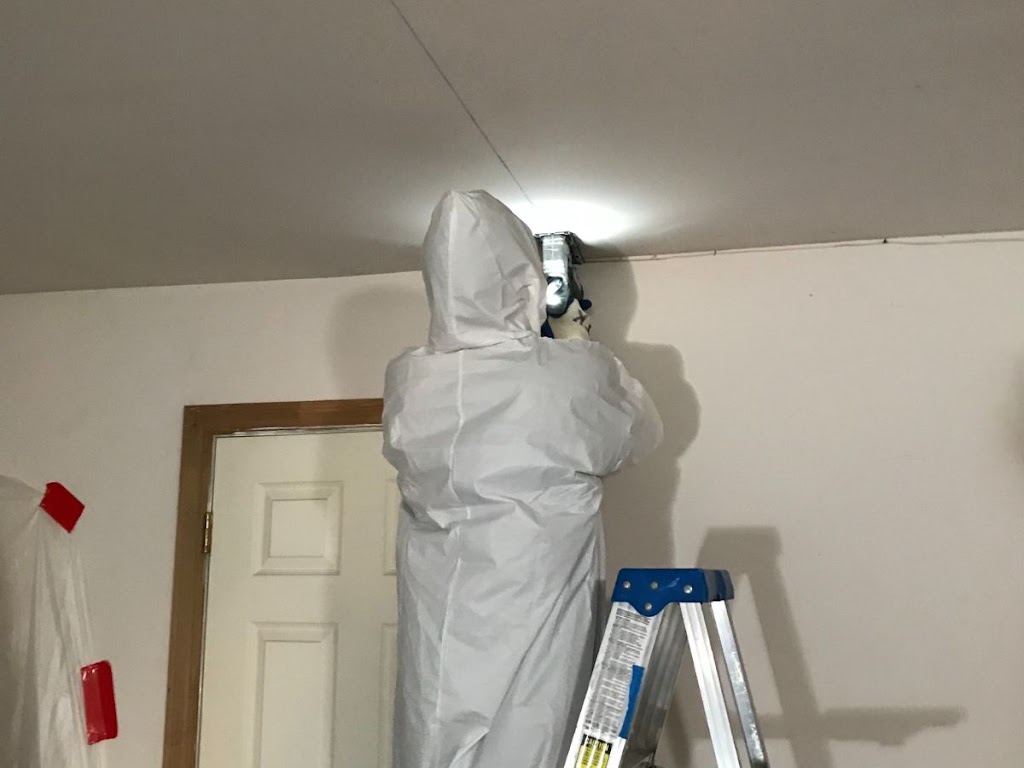weDRY Restoration photo