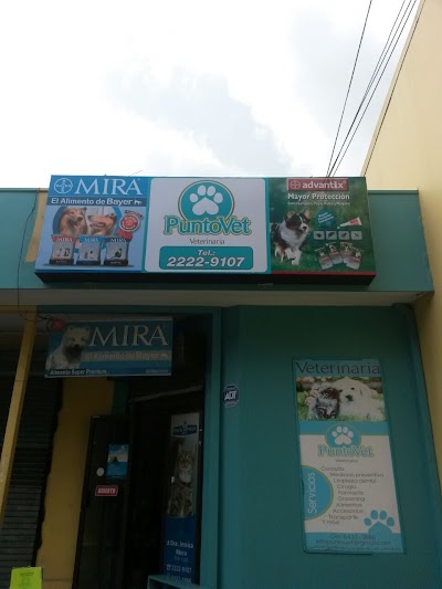 Photos of Punto Vet