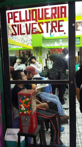 Peluquería y Barbería Silvestre - Thumbnail