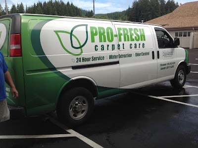 Pro-Fresh Carpet Care