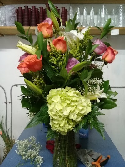 Photos of Petal Pushers