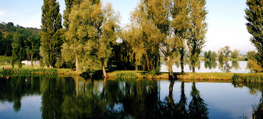 Photo de Les Étangs du Parc