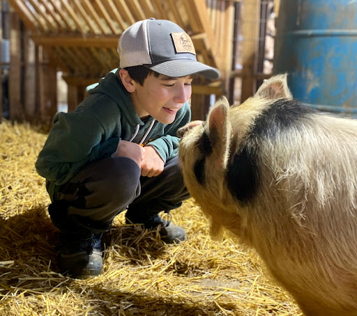 Wild Harts Farm - Thumbnail