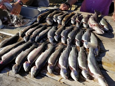 Seeping Springs Trout Lakes