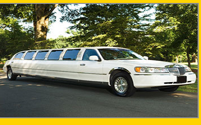 Bus n Limo - Thumbnail