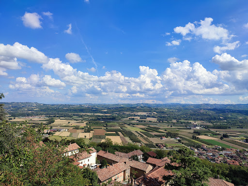 Museo - Castello di Magliano Alfieri - Thumbnail