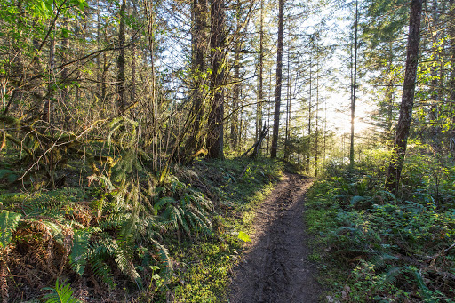 Henry Hagg County Park - Thumbnail