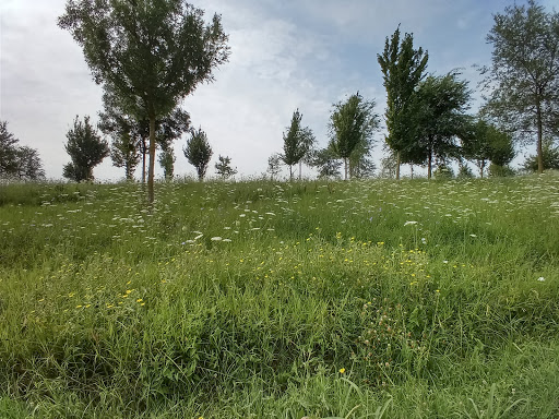 Parco Ivana Cagnin - Thumbnail