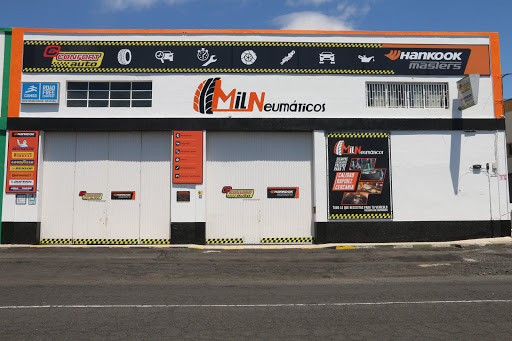 Mil Neumáticos Costa Sur