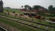 Missan Kalar Railway Station lahore