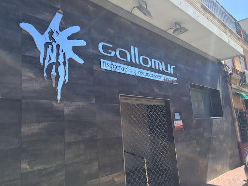 Gallomur Logo