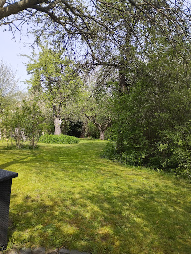 elfengarten - Thumbnail