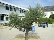Lycée de Bréhoulou à Fouesnant