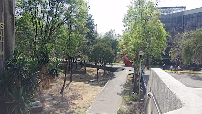 Photos of National Newspaper Library of Mexico