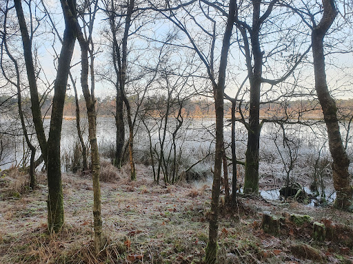 Diakonievene - Thumbnail