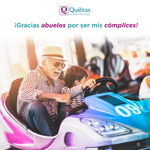 Segurazos, Agente de Seguros y Fianzas SA de CV - Thumbnail
