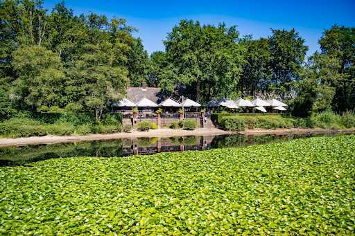 site_photo1