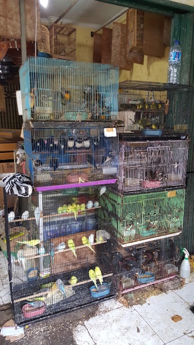 Photos of Kang Ujang Bird Shop