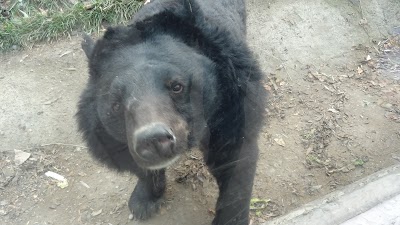 Photos of Beijing Zoo